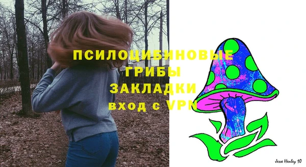 СК Дмитровск