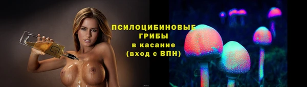 PSILOCYBIN Дмитров