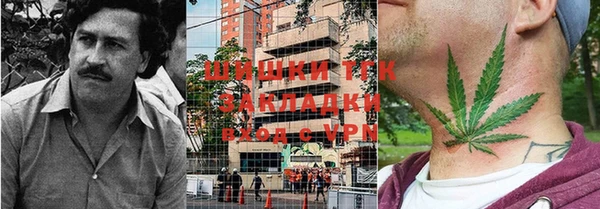 PSILOCYBIN Дмитров