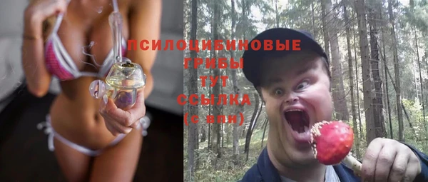 эйфоретик Кулебаки