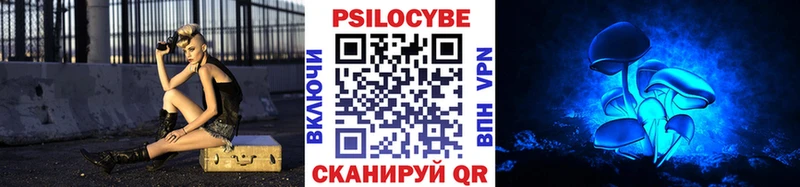 Псилоцибиновые грибы Cubensis  цена   Заринск 
