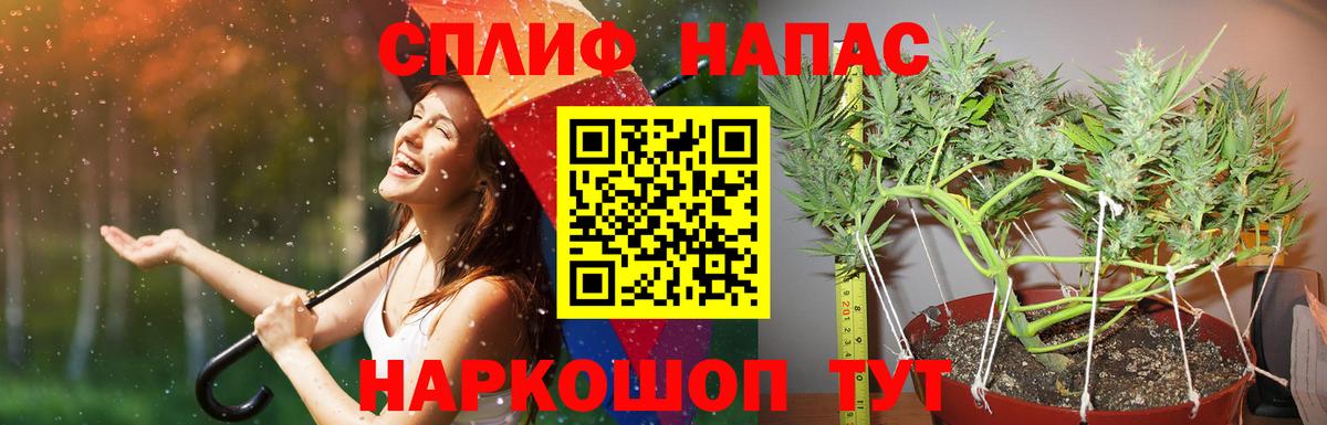 Марихуана планчик  Вход с VPN  Заринск  Каннабис ГИДРОПОН 